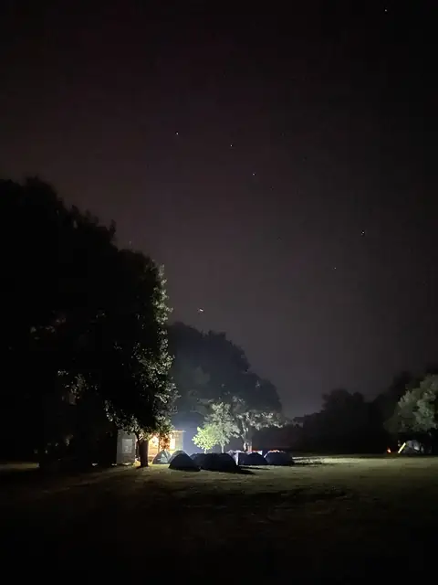 Yıldızlı gökyüzünün altında ağaçların arasındaki kamp alanı