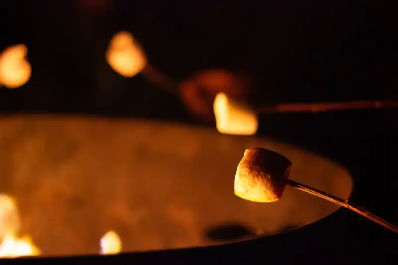 Kamp ateşinin üzerinde kızaran marshmallow